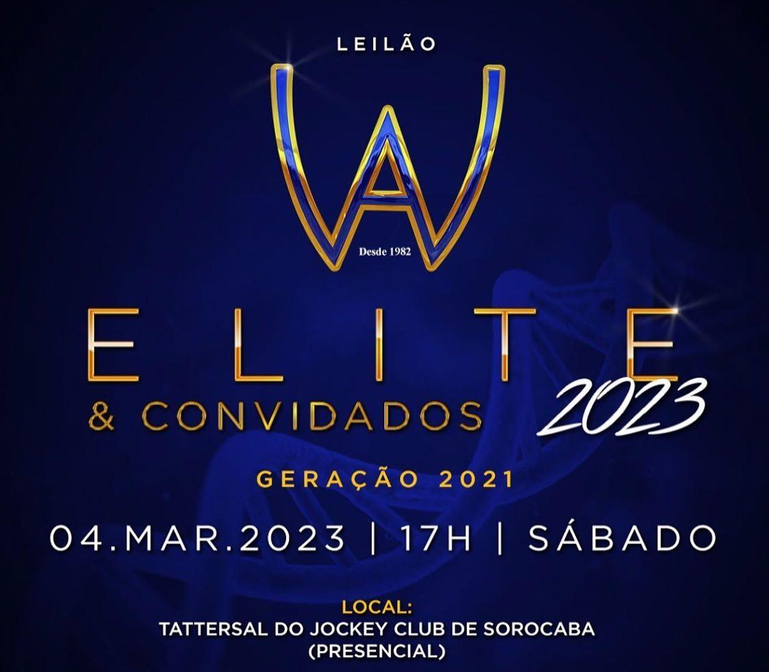 Leilão WA Elite & Convidados 04 de março 2023 | 17h| sábado